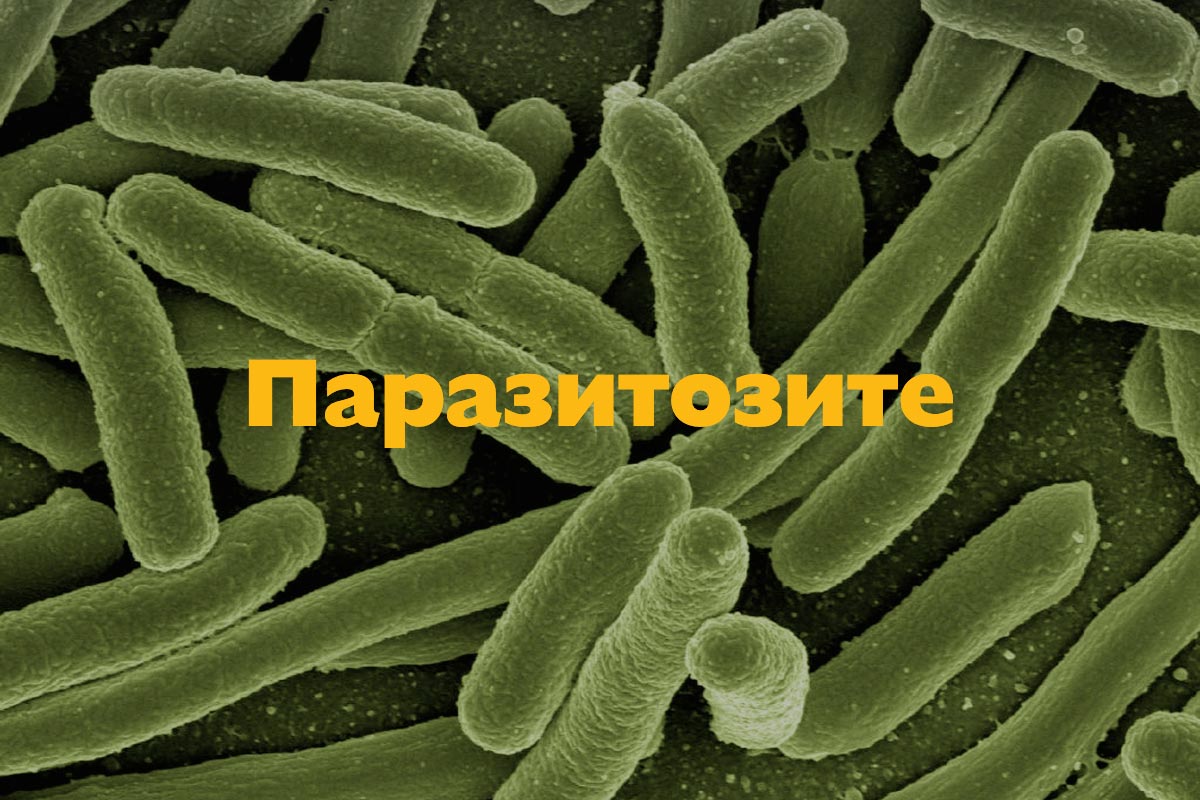 Паразитозите