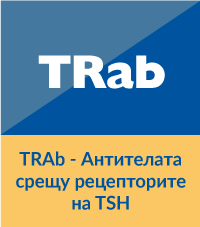 TRab изследване