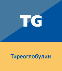 Тироглобулин (TG)