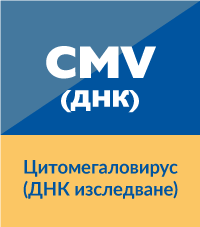 Цитомегаловирус CMV - ДНК изследване