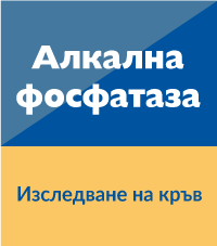 Алкална фосфатаза