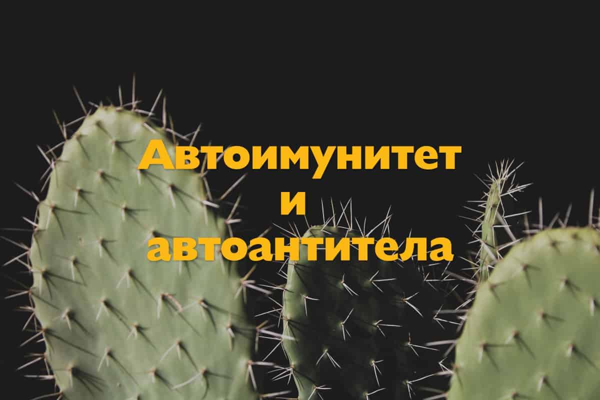 Автоимунитет и автоантитела