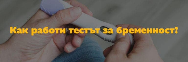 Как работи тестът за бременност?