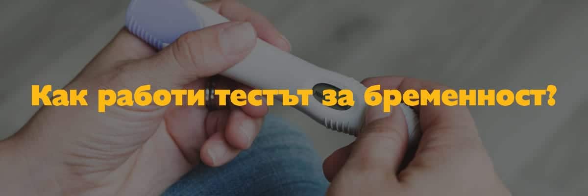 test-za-bremennost Как работи тестът за бременност?