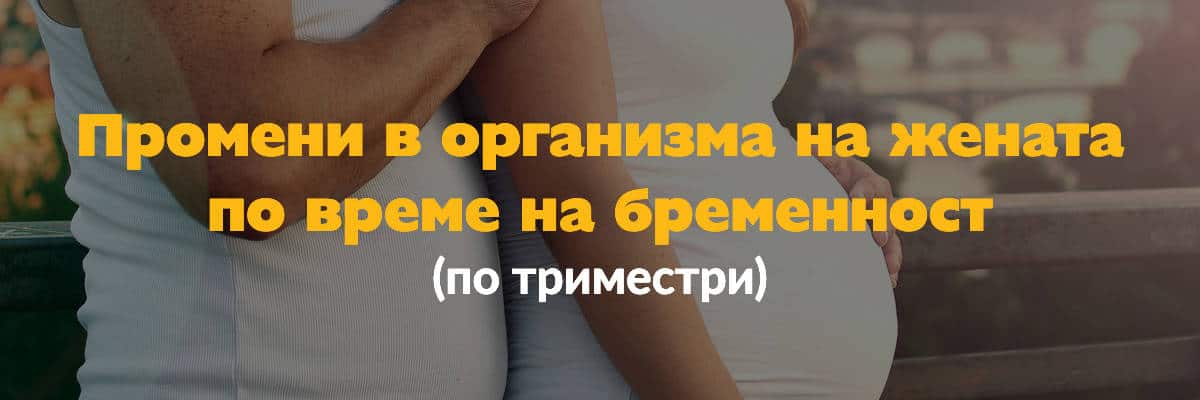 promeni-bremennost Промени в организма на жената по време на бременност