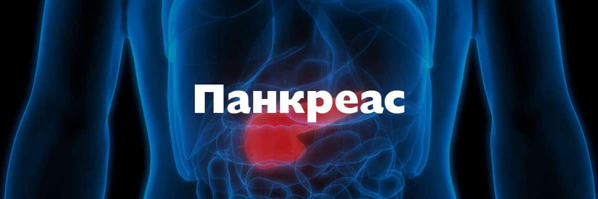 pankreas pankreas