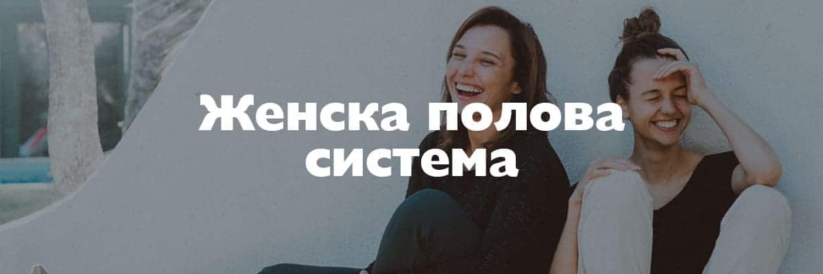 zhenska polova sistema zhenska polova sistema