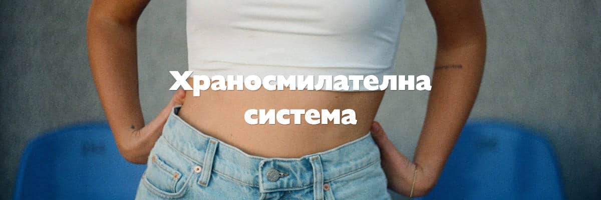 храносмилателна система храносмилателна система