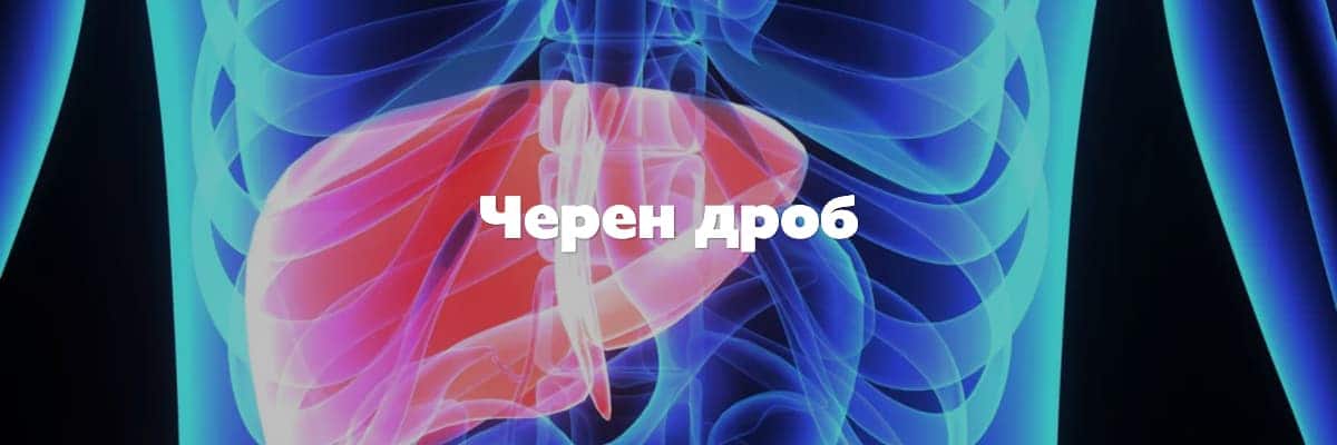 черен дроб черен дроб
