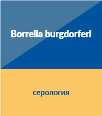 лаймска болест серология