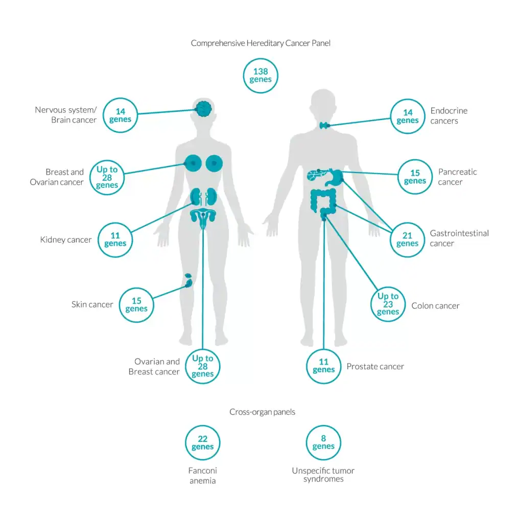 HereditaryCancerPanels website silhouette 1388x1399 (2)
